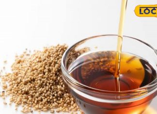 तिल के तेल का इस तरह करें सेवन, कोलेस्ट्रॉल हो जाएगा गायब, एक्सपर्ट ने बताया तरीका