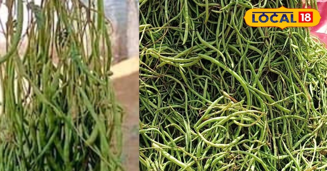 काजू-बादाम से भी महंगी ये सब्जी, सूखने पर और कीमती, सिर्फ गर्मी में ही मिलती है, बेचने वाले बन जाते हैं अमीर