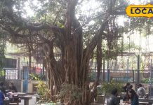 कनॉट प्लेस में राजमा जैन चावल वाला और अन्य बजट फ्रेंडली खाने के स्थान. – Bharat.one हिंदी