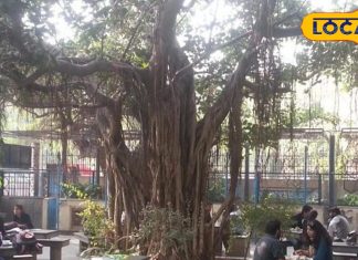 कनॉट प्लेस में राजमा जैन चावल वाला और अन्य बजट फ्रेंडली खाने के स्थान. – Bharat.one हिंदी