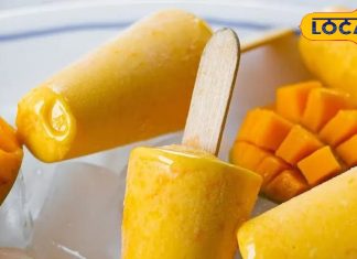 गर्मियों में घर पर आम से बनाए ये 5 खास रेसिपी, फ्रेश हो जाएगी रूह! सेहत और स्वाद दोनों में अव्वल, जानें तरीका