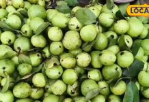 किसी सुपरफूड से कम नहीं है ये फल… पेट से लेकर बालों और स्किन तक में फायदेमंद, वजन भी करे कंट्रोल