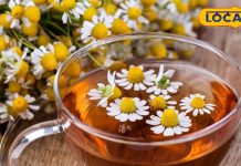 आदत नहीं बिगाड़ेगी ये चाय, स्वाद और गुणों से भरपूर, गर्मियों में रामबाण