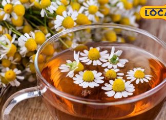 आदत नहीं बिगाड़ेगी ये चाय, स्वाद और गुणों से भरपूर, गर्मियों में रामबाण