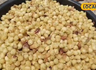 Mahua Health Benefits: अप्रैल माह का चमत्कारी फल, खाने से शरीर को मिलते हैं ये जबरदस्त फायदे