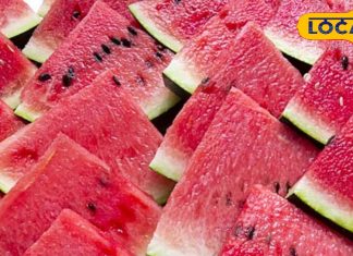 तरबूज बना सेहत के लिए खतरा, मिलावट से बढ़ा बीमारियों का डर, इस तरह करें सही तरबूज की पहचान