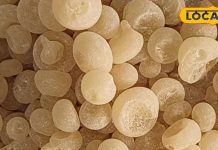 Health Tips: चमत्कारी औषधि है ये बीज, दर्द को करता है मिनटो में दूर, शरीर को देता है फौलादी ताकत