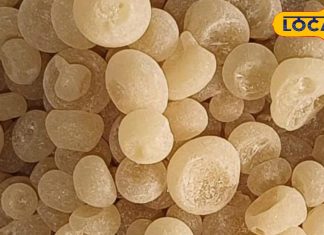 Health Tips: चमत्कारी औषधि है ये बीज, दर्द को करता है मिनटो में दूर, शरीर को देता है फौलादी ताकत