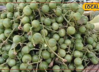 दादी-नानी का नुस्खा बना हेल्थ एक्सपर्ट्स की पसंद, यह अचार बना जोड़ों के दर्द और एलर्जी का नेचुरल इलाज