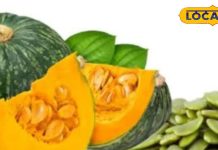 सौ बीमारियों का एक इलाज हैं इस फल के बीज! डाइट में कर लिए शामिल तो नहीं लगाने पड़ेंगे डॉक्टर के चक्कर!