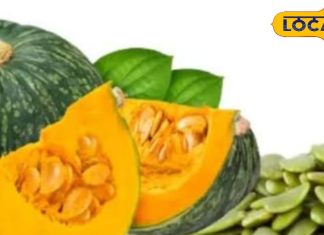 सौ बीमारियों का एक इलाज हैं इस फल के बीज! डाइट में कर लिए शामिल तो नहीं लगाने पड़ेंगे डॉक्टर के चक्कर!