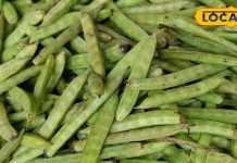 स्वाद और सहेत का संगम है यह फली, सालोंभर कर सकते हैं सेवन, ब्लड शुगर और बेड कोलेस्ट्रॉल को रखता है कंट्रोल