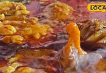 घर बैठे बनाएं चंपारण का जायकेदार ब्लैक बंगाल मटन, बेतिया के शंभू हलवाई से जानें रेसिपी, हड्डियां तक चबा जाएंगे