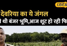 Deoria News: देवरिया का हरित चमत्कार, माधोपुर से राउतपार तक पर्यटकों का आकर्षण.