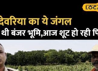 Deoria News: देवरिया का हरित चमत्कार, माधोपुर से राउतपार तक पर्यटकों का आकर्षण.