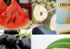 these fruits eat in summer take your body cool – Bharat.one हिंदी