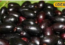 आ गया इस सुपरफ्रूट का मौसम, इस फल की गुठलियां भी बेहद फायजेमंद ! डायबिटीज के लिए रामबाण