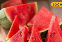 ऐसे लोग न खाएं तरबूज, हो जाएगा पेट खराब, लगाएंगे अस्पतालों के चक्कर – Bharat.one हिंदी