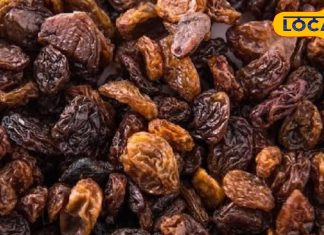 Benefits of Munakka: मुनक्का है सुपरफूड, टाइफाइड, खून की कमी जैसी बीमारियों में रामबाण, शरीर रहेगा तंदुरुस्त