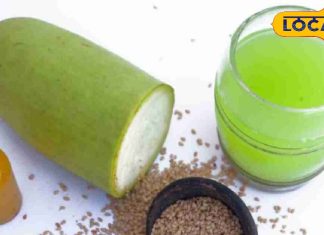 वजन घटाने की मशीन है ये हरा जूस, रोज सुबह पिएं एक गिलास, महीने भर में दिखने लगेगा असर! – Bharat.one हिंदी