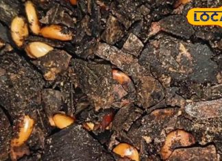 कुदरत का चमत्कार…चुटकियों में दिलाए कब्ज से राहत, मिनटों में चमकाए त्वचा