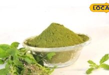 खाना खाने के बाद एक चम्मच खा लें यह चूर्ण, चुटकियों में पच जाएगा खाना, पेट भी रहेगा ठंडा