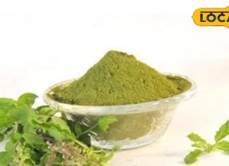 खाना खाने के बाद एक चम्मच खा लें यह चूर्ण, चुटकियों में पच जाएगा खाना, पेट भी रहेगा ठंडा