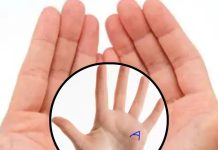 Hastrekha Jyotish: क्या आपकी हथेली पर भी है A का निशान, जानें कितने भाग्यशाली हैं आप, क्या-क्या हैं आपमें खूबियां
