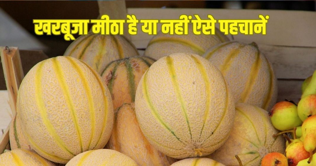पके और मीठे खरबूजे खरीदने के 4 आसान ट्रिक