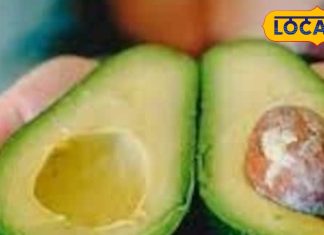 कहते हैं अमीर खाते हैं ये हरा फल, इससे बुढ़ापा होता धीमा,स्किन को भी रखता जवान