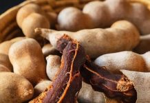 इमली सिर्फ चटपटी नहीं, ये है बीमारियों की रामबाण दवा! पेट की जलन हो या सूजन, कई दर्दों का इलाज इसमें छिपा है