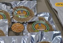 पारंपरिक पापड़ से बोर हो चुके हैं? घर पर बनाएं काठियावाड़ी स्टाइल में मिलेट पापड़, जानें रेसिपी!