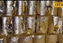 अलीगढ़ की इस मिठाई के लोग हैं दीवाने, स्वाद ऐसा कि मुंह में रखते ही घुल जाये