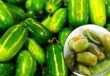 कुंदरू खाते हैं आप? दंग रह जाएंगे इसके जबरदस्त फायदे जानकर!