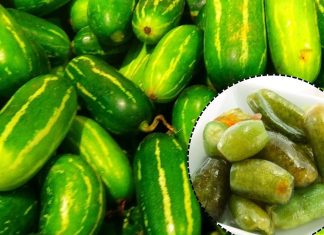 कुंदरू खाते हैं आप? दंग रह जाएंगे इसके जबरदस्त फायदे जानकर!