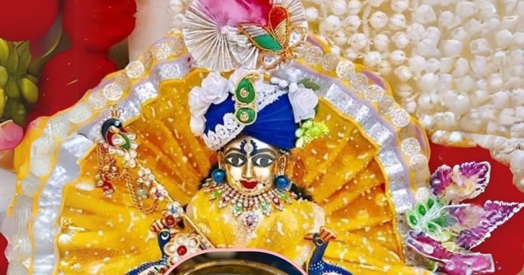 Laddu Gopal Seva Niyam: गर्मियों में लड्डू गोपाल को लगाएं इन 5 चीजों का भोग, जल्द हो जाएंगे प्रसन्न!