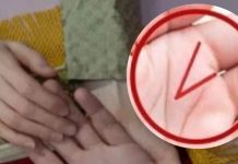 Lucky Sign on Palm: हथेली पर ये निशान दिलाता है 35 की उम्र के बाद शोहरत, देता है खूब मान-सम्मान तरक्की