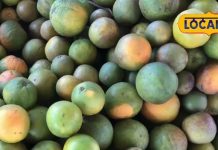 Mosambi Juice Benefits: गर्मियों का अमृत…! रोज सुबह पिएं ₹30 में मिलने वाला यह जूस, 24 घंटे रहेगा ताजगी का एहसास