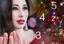 Numerology: इस मूलांक की लड़कियों की रह जाती है प्रेम कहानी अधूरी! पति और पिता के लिए होती हैं भाग्यशाली