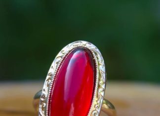 Munga Gemstone : इस रत्न से बढ़ जाता है प्रॉपर्टी और रियल एस्टेट का काम,ये लोग बिल्कुल भी ना पहनें! साढ़ेसाती के प्रभाव से मिलेगी मुक्ति