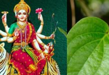 Chaitra Navratri 2025 Upay: चैत्र नवरात्रि में करें पान के पत्ते का ये उपाय, नौकरी-कारोबार में मिलेगी अपार सफलता!