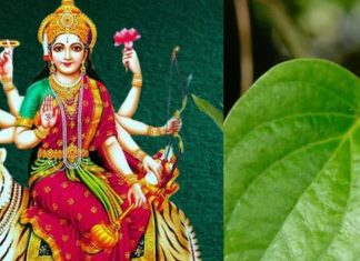 Chaitra Navratri 2025 Upay: चैत्र नवरात्रि में करें पान के पत्ते का ये उपाय, नौकरी-कारोबार में मिलेगी अपार सफलता!