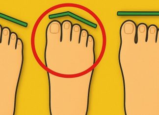 पैरों की उंगलियों का आकार खोलता है जीवन से जुड़े कई गहरे राज! जानिए कैसा होता है किसका स्वभाव?