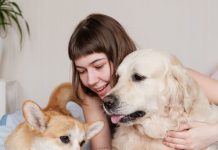 पालतू जानवर रखें, तनाव होगा कम और संतुष्टि होगी अधिक: शोध