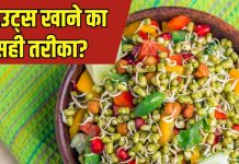 स्प्राउट्स खाने का क्या है सही तरीका? 99% लोग कर बैठते हैं गलती, फिर फायदे की जगह उठाना पड़ता है नुकसान