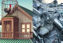 Vastu Tips For Earthquake: भूकंप से घर को सुरक्षित करने के लिए वास्तु के इन नियमों का अवश्य करें पालन