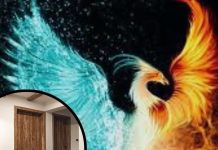 Vastu Tips For Home: घर, ऑफिस की दक्षिण दिशा में लगा दें इस पक्षी की तस्वीर, तरक्की के साथ आएगी खुशहाली