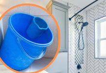 Vastu tips for Bathroom: बाथरूम में रखी खाली बाल्टी कर सकती है कंगाल, आज ही बदल दें आदत, वरना झेलने पड़ेंगे दुष्परिणाम