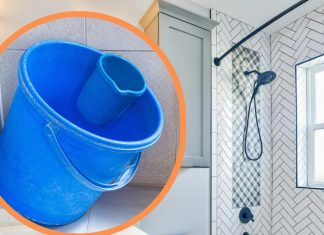 Vastu tips for Bathroom: बाथरूम में रखी खाली बाल्टी कर सकती है कंगाल, आज ही बदल दें आदत, वरना झेलने पड़ेंगे दुष्परिणाम