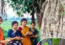 Vat Savitri Vrat 2025: पहली बार कर रही हैं वट सावित्री व्रत, तो यहां जानें नियम और पूजा विधि